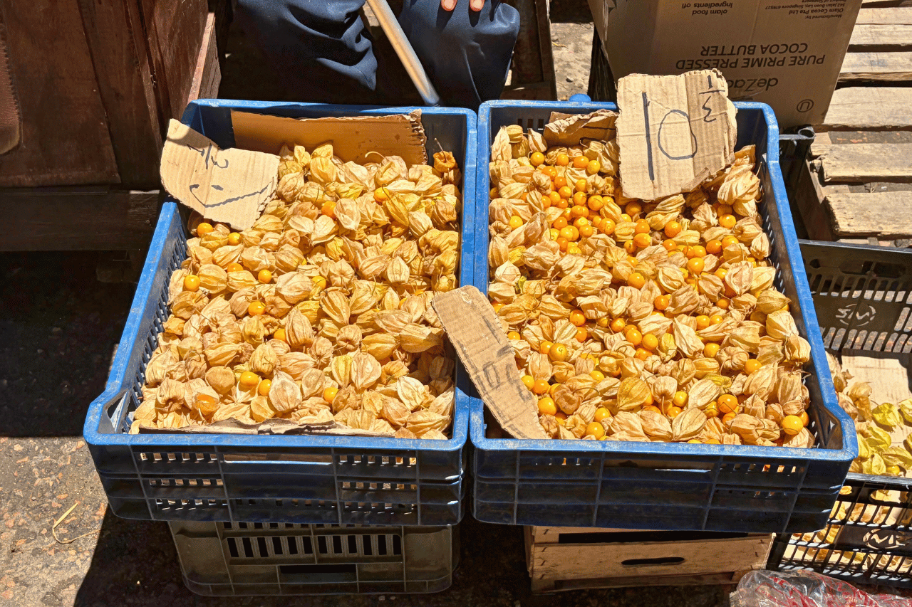 Market cape gooseberries.