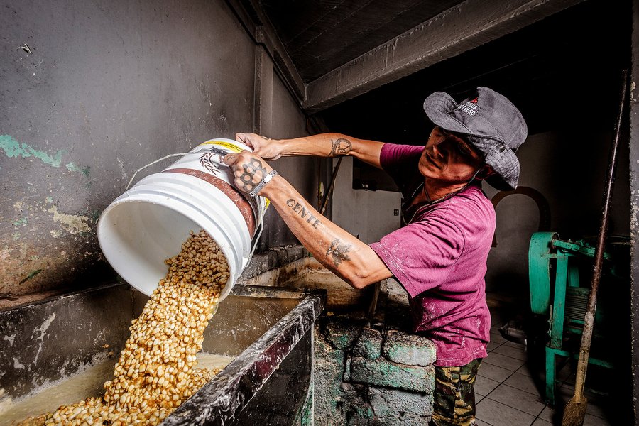 Nixtamalizing the corn.