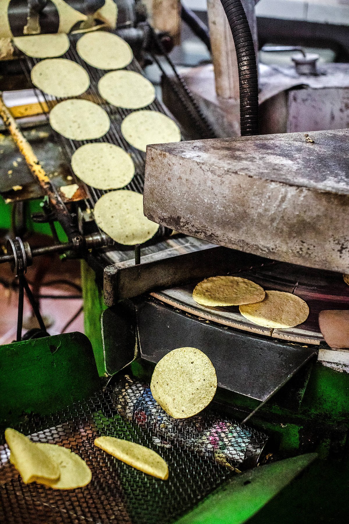 Tortilleria conveyor.