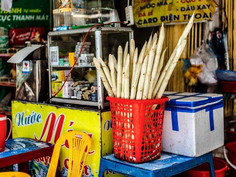 Sugarcane.