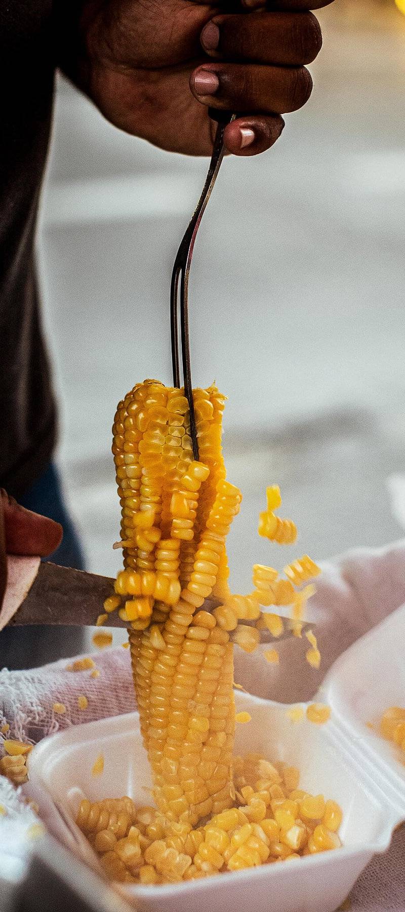 Cutting the corn.