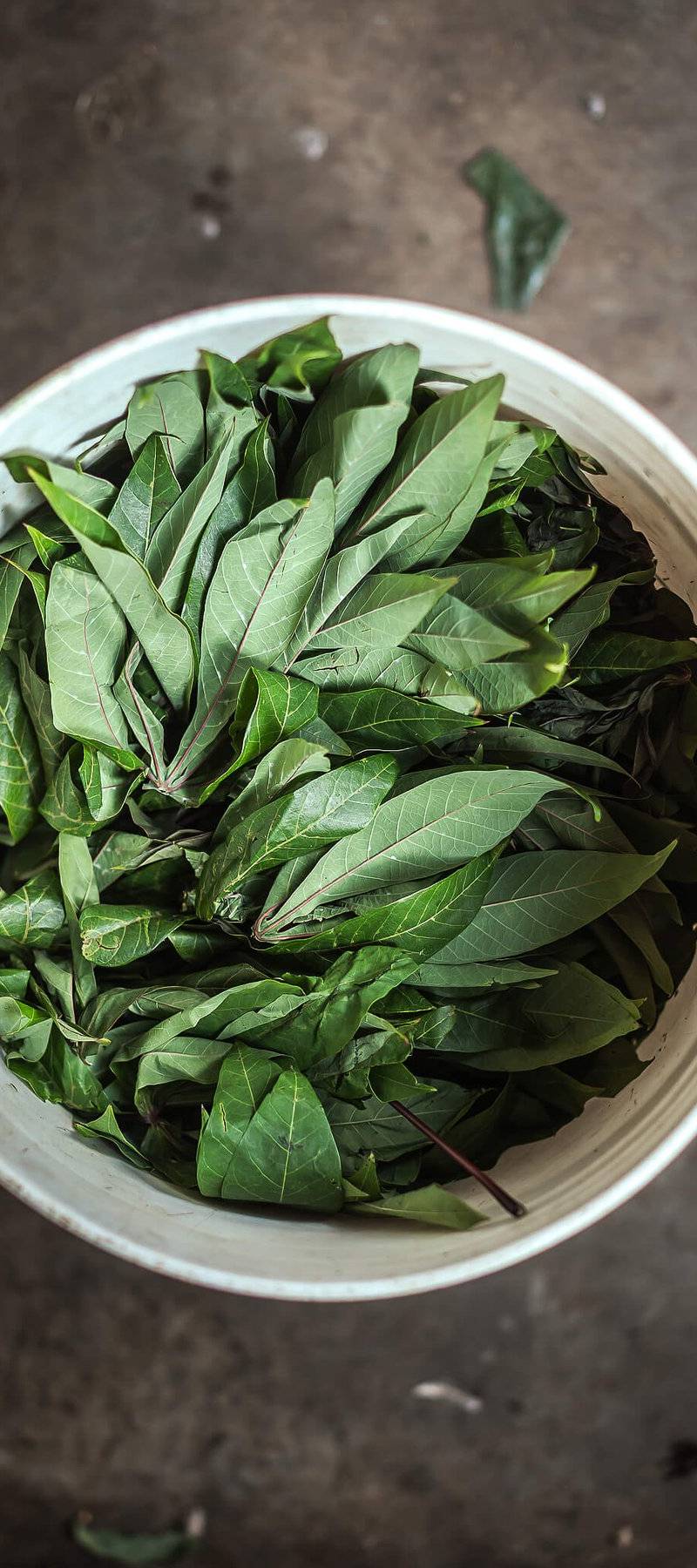 Cassava leaves.