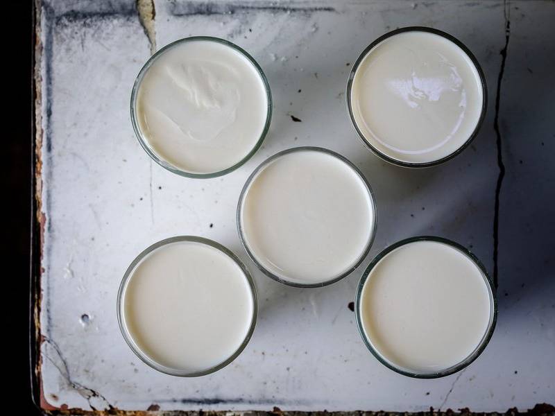 Leben cups.