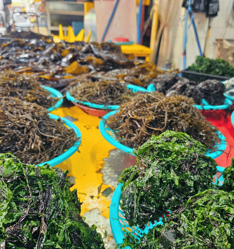 Seaweed.