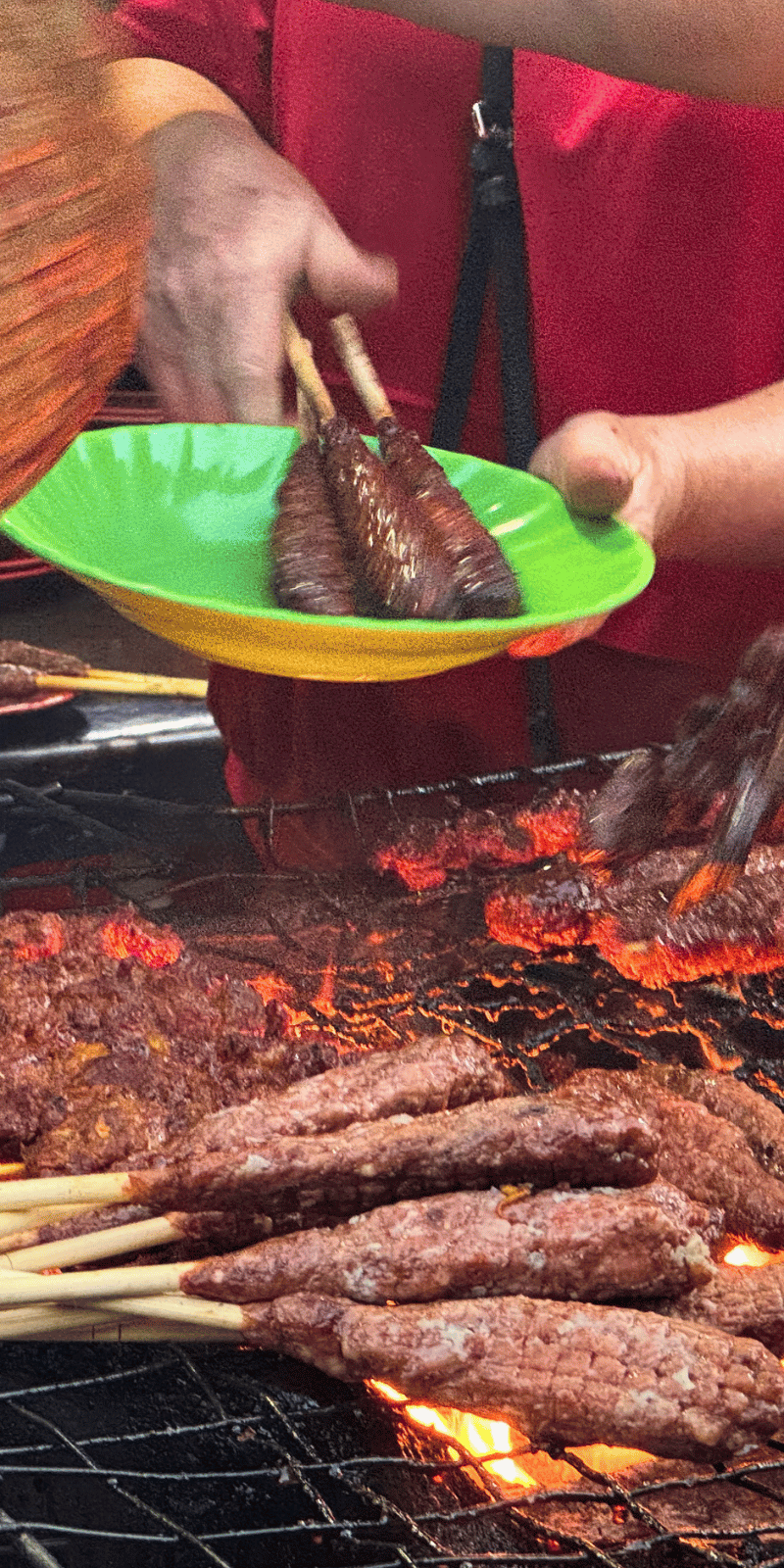 Skewers on hot charcoal.