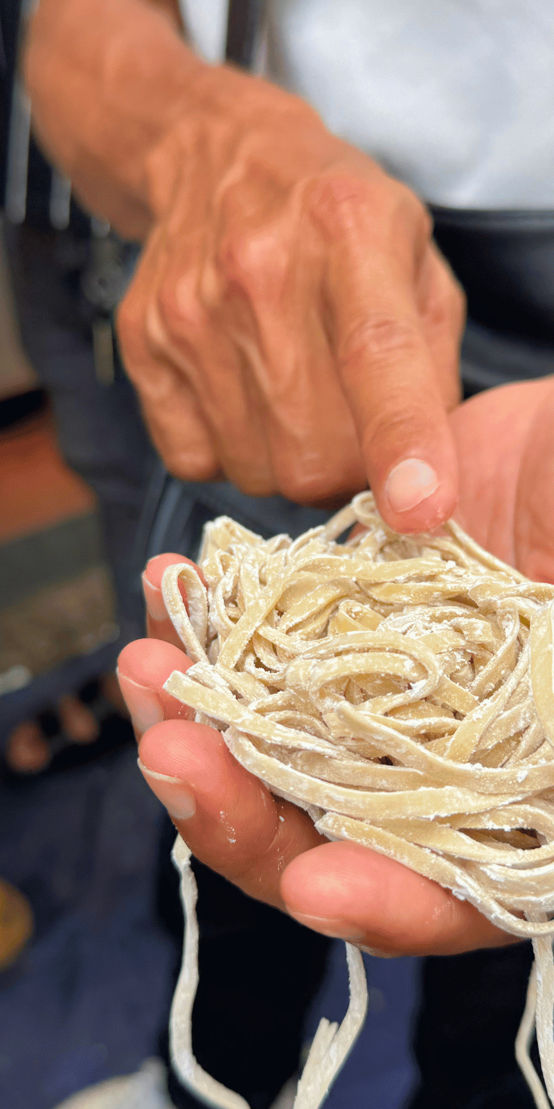 Fresh noodle coil.