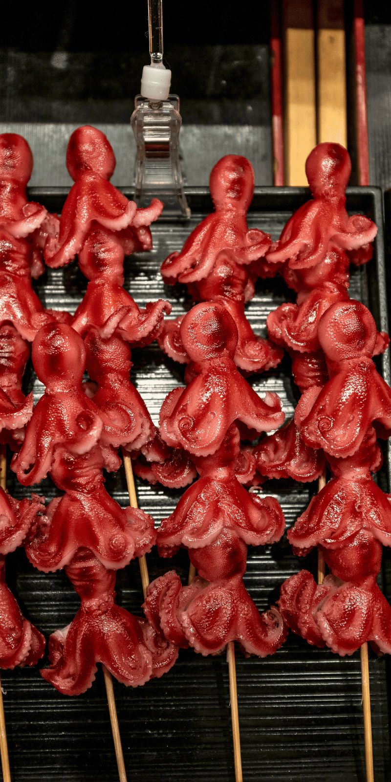 Tako skewers.