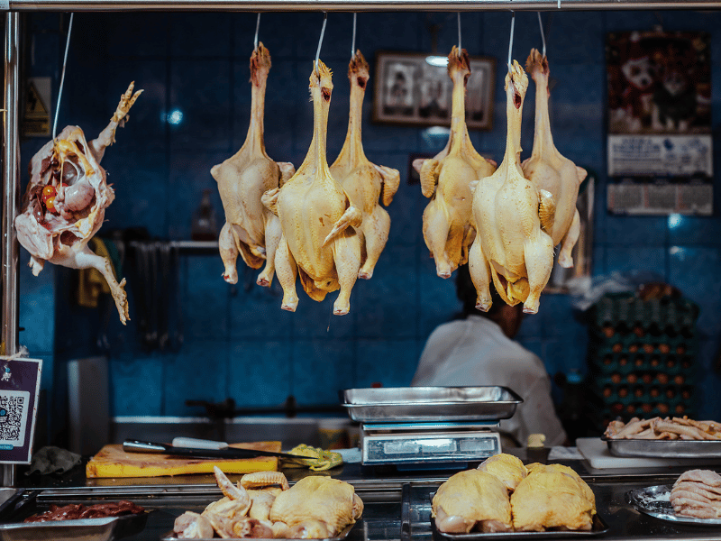 Hanging chickens.