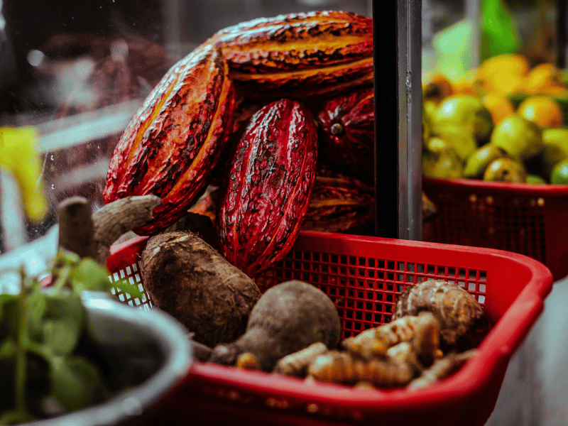 Amazonian cacao.