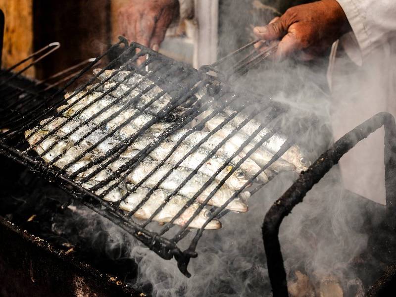 Atlantic sardine grill.