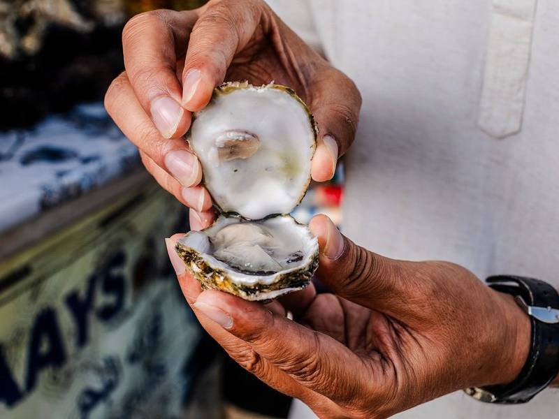 Freshly shucked.
