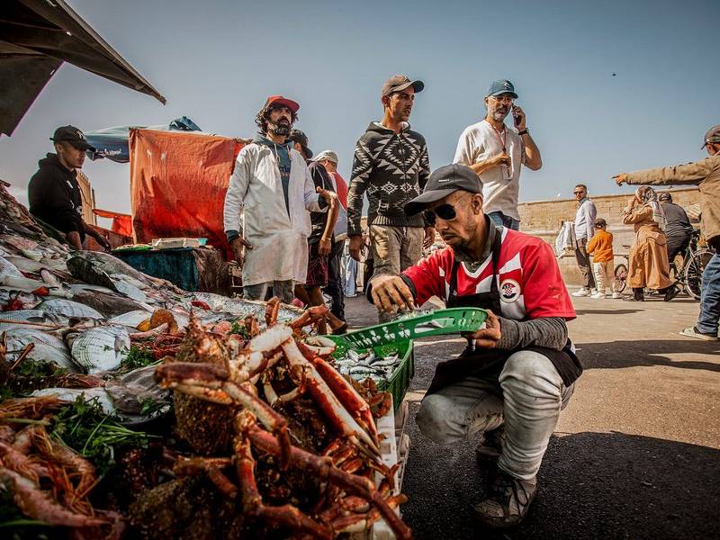 Port market bustle.