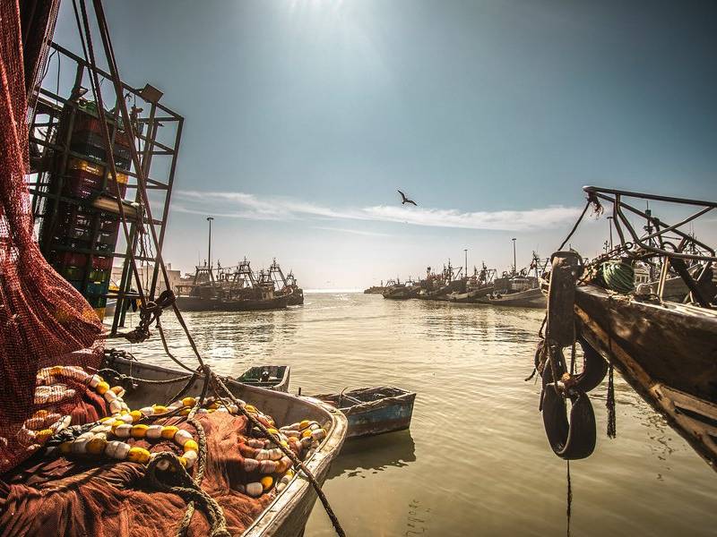 Moored fishing boats.
