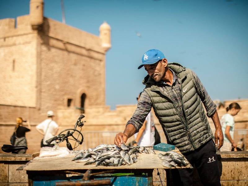 Sardines by the kasbah.