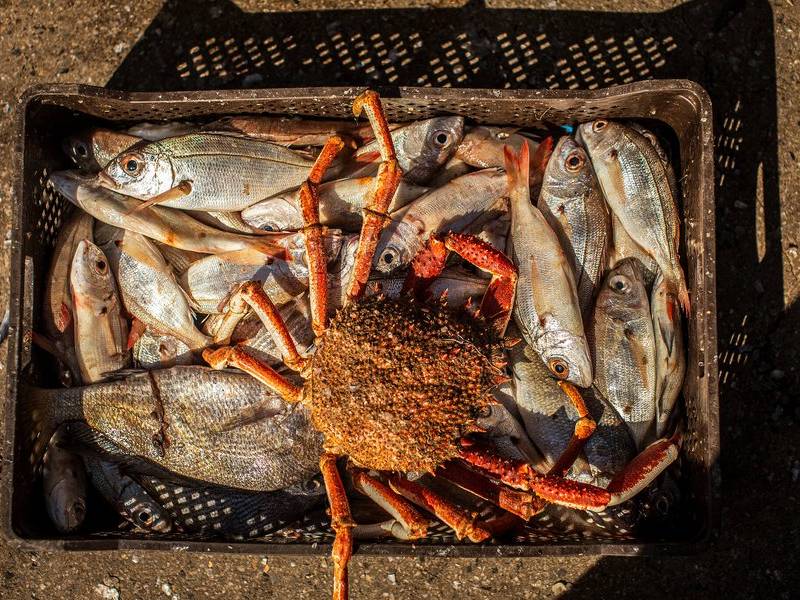 Fisherman's crate.