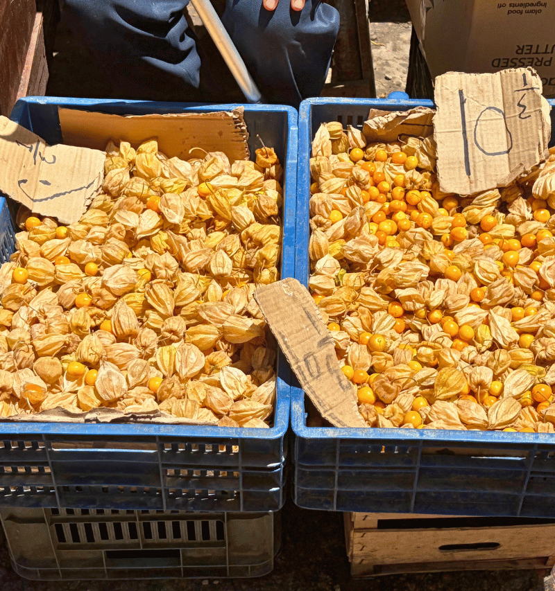 Market cape gooseberries.