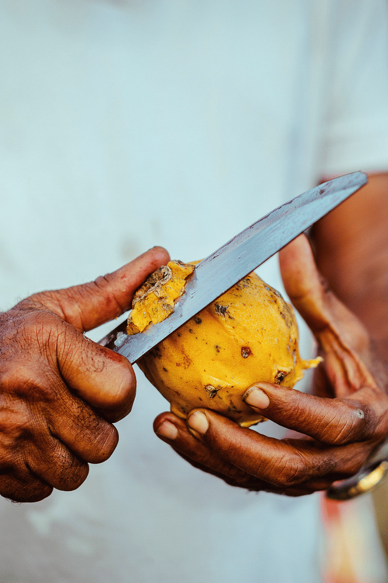 Amazonian fruits.