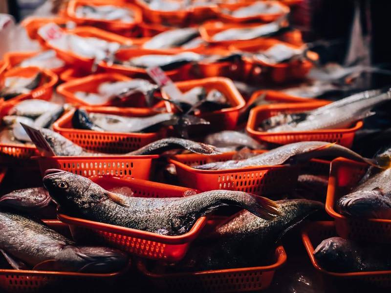 Fish in baskets.