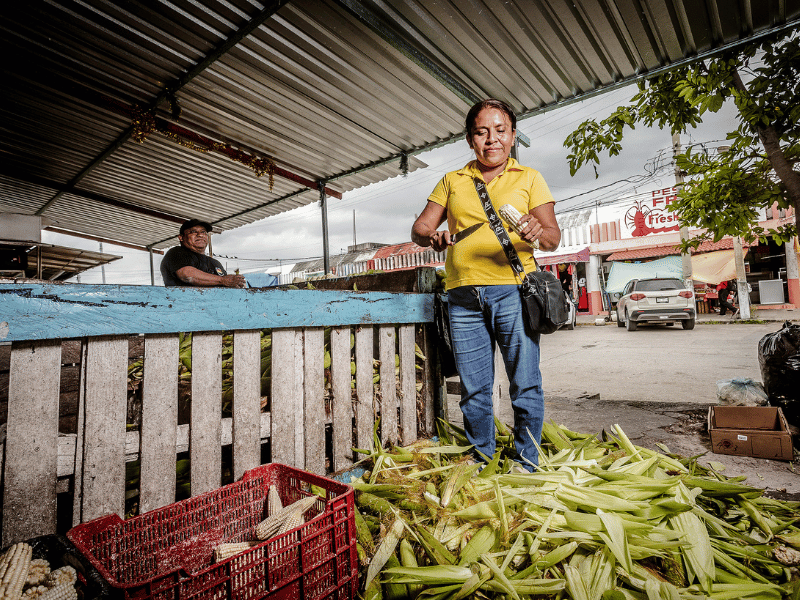 Husking corn.