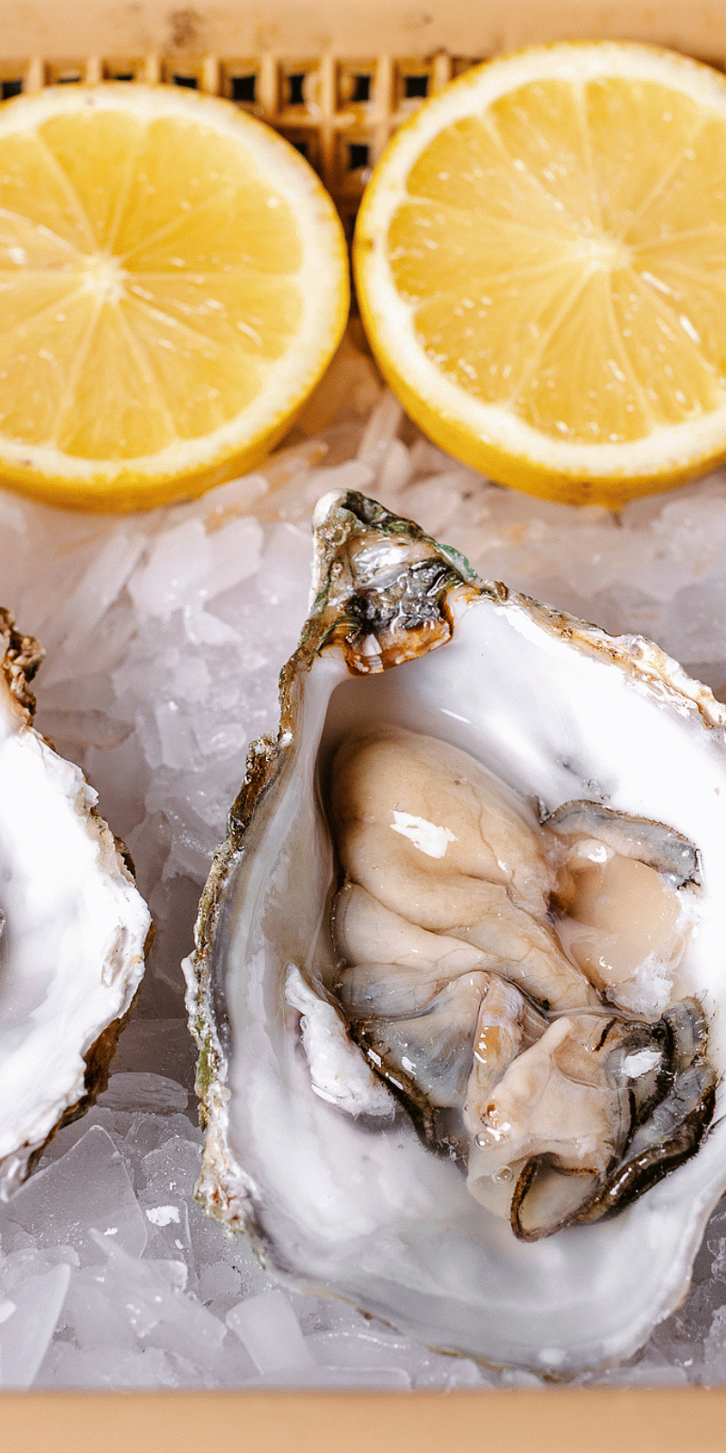 Oysters on ice.