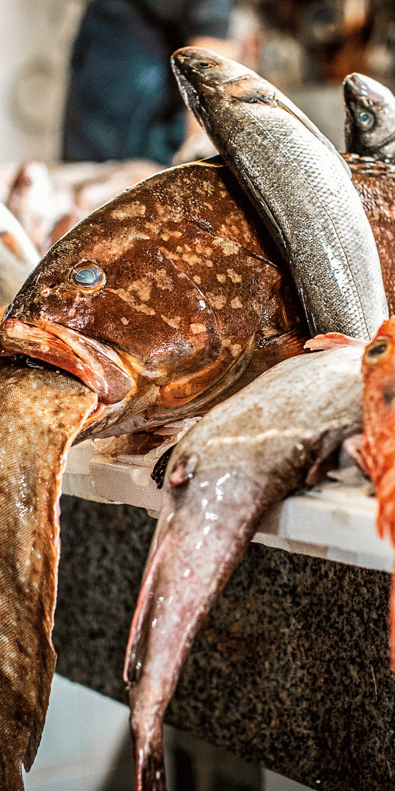 Marché Central de Poisson.