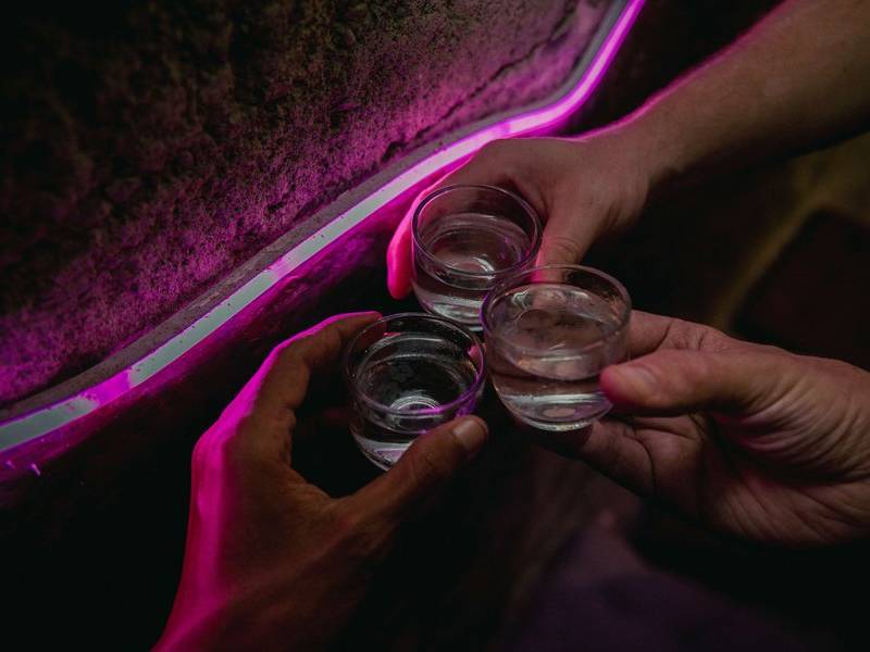 Palm distrilled arak.