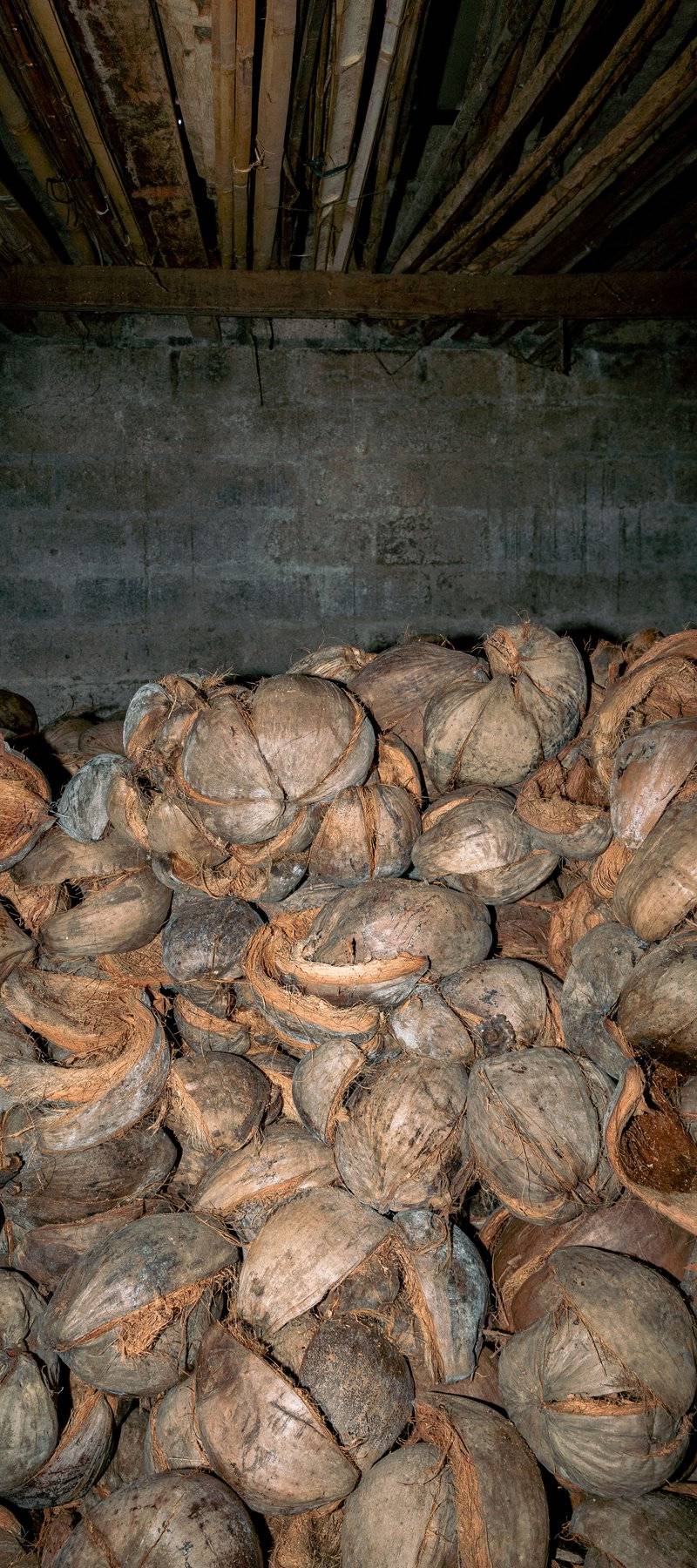 Cocounut husks.