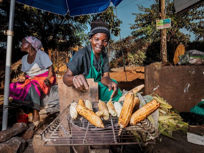 Roasted maize.