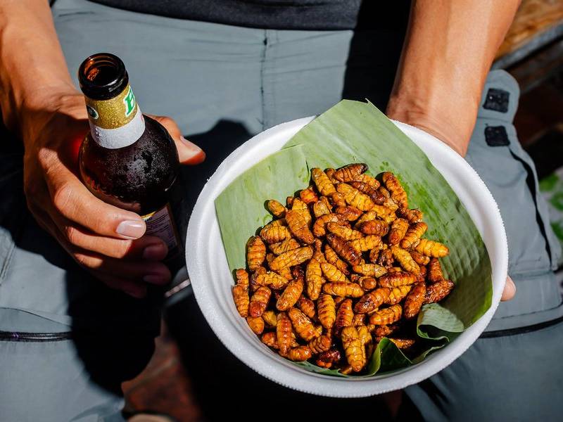 Fried silkworms and beer.