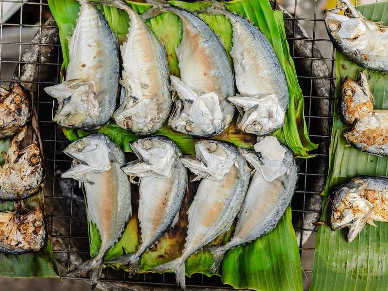 Grilled pa thu mackerel.