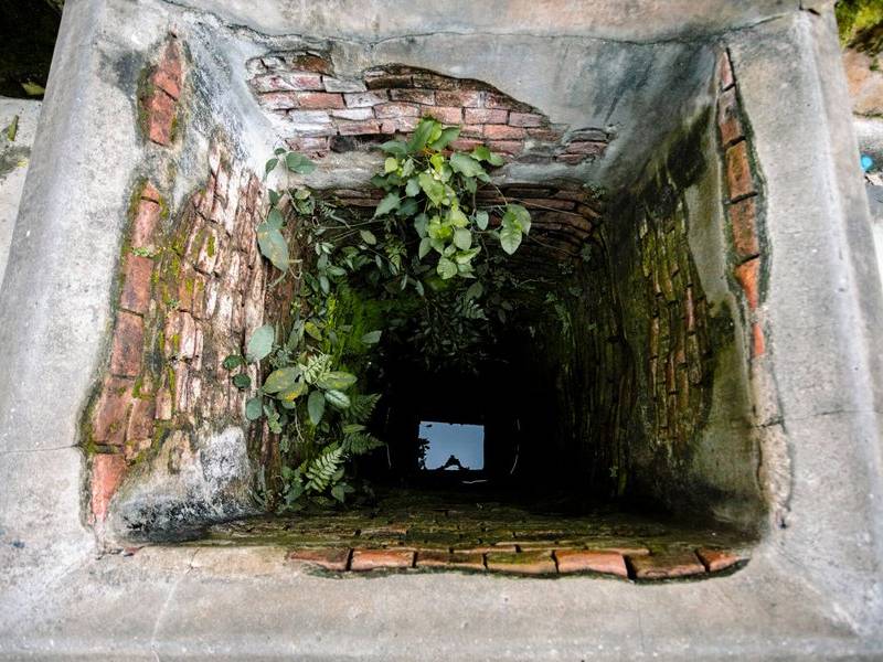 Cham well.
