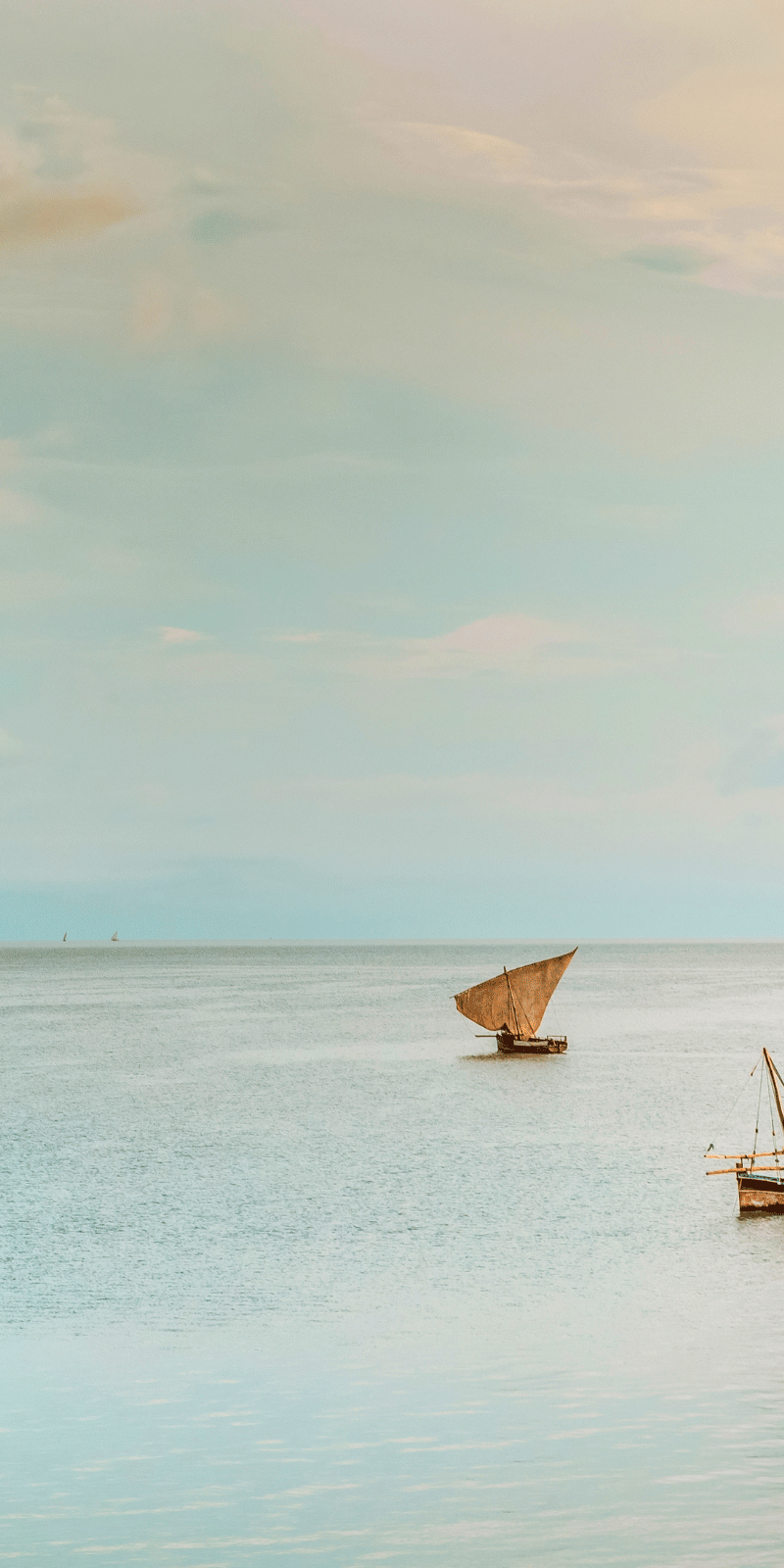 Dhows on the water.