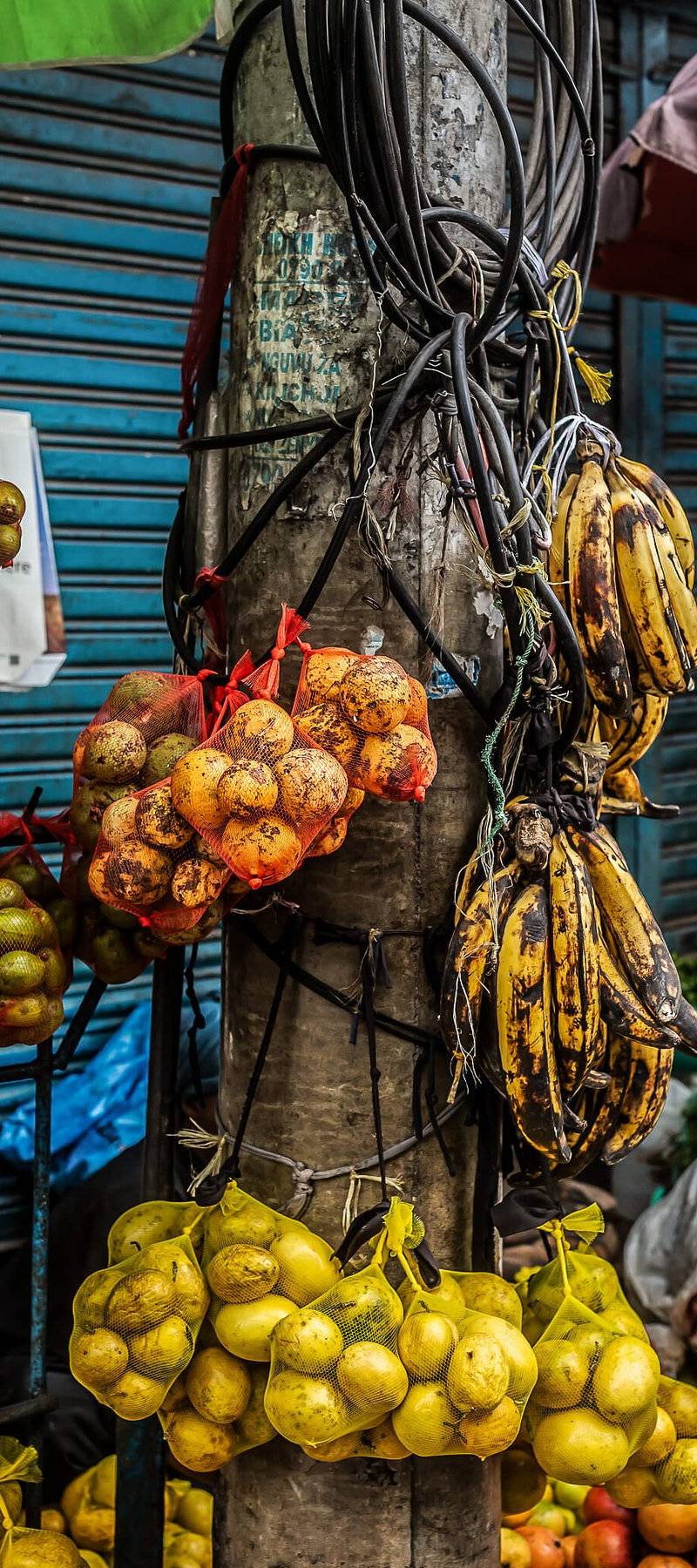 Mkulima fruit stand.