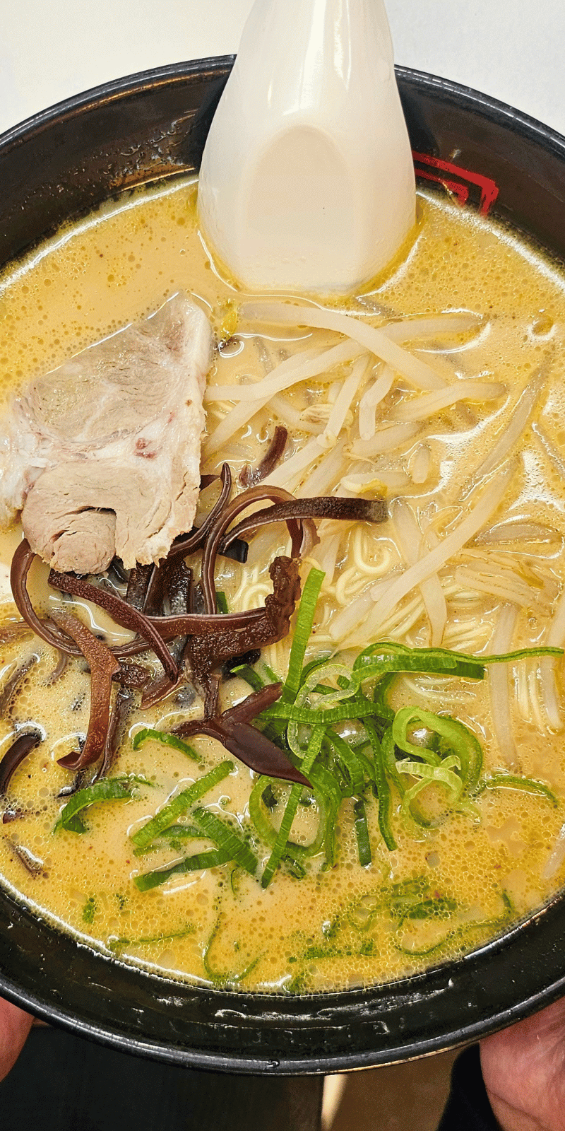 Tonkotsu ramen bowl.