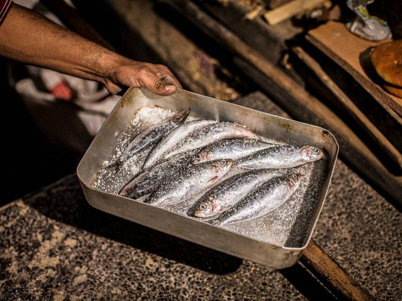 Fresh salted sardines.