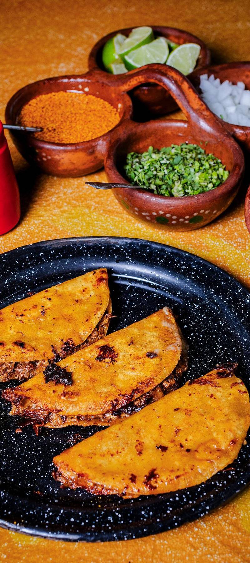 Birria with cheese.