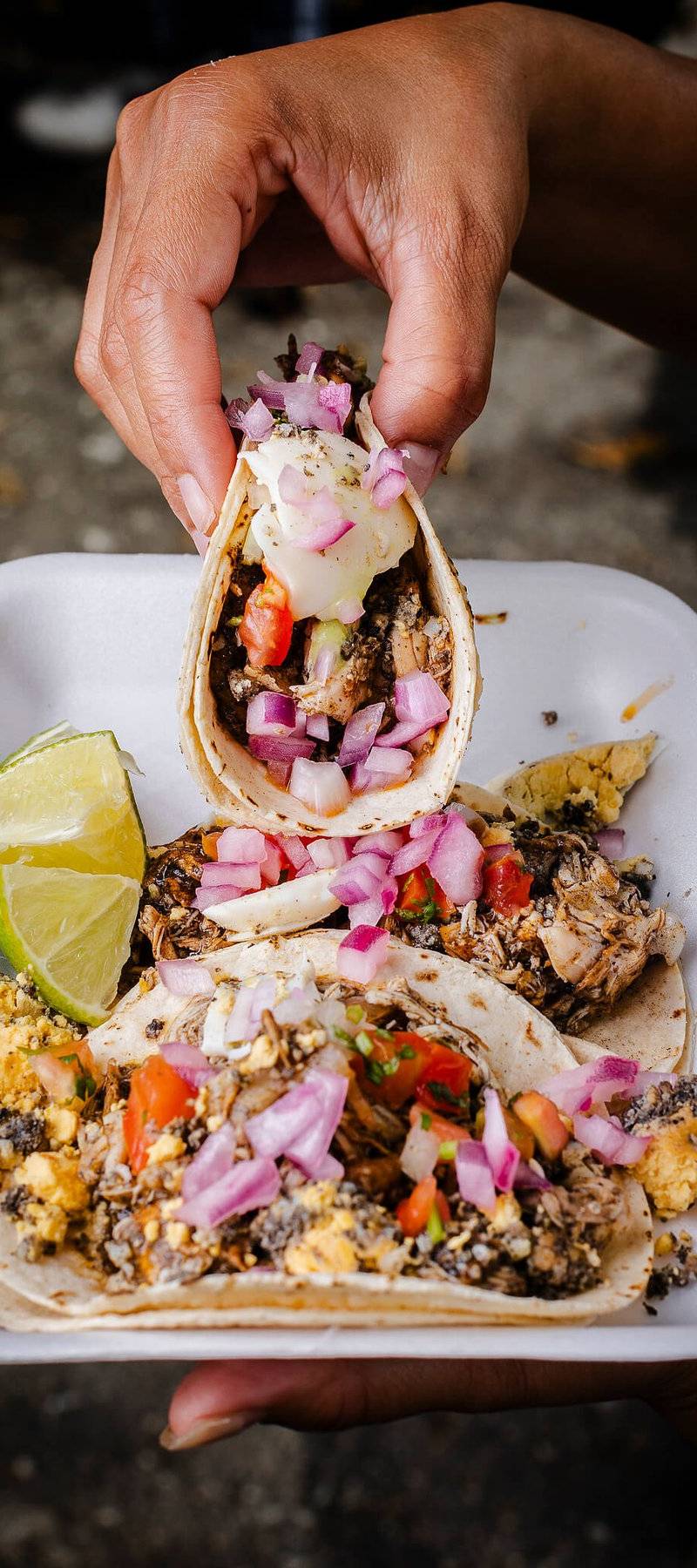 Chapulín tacos.