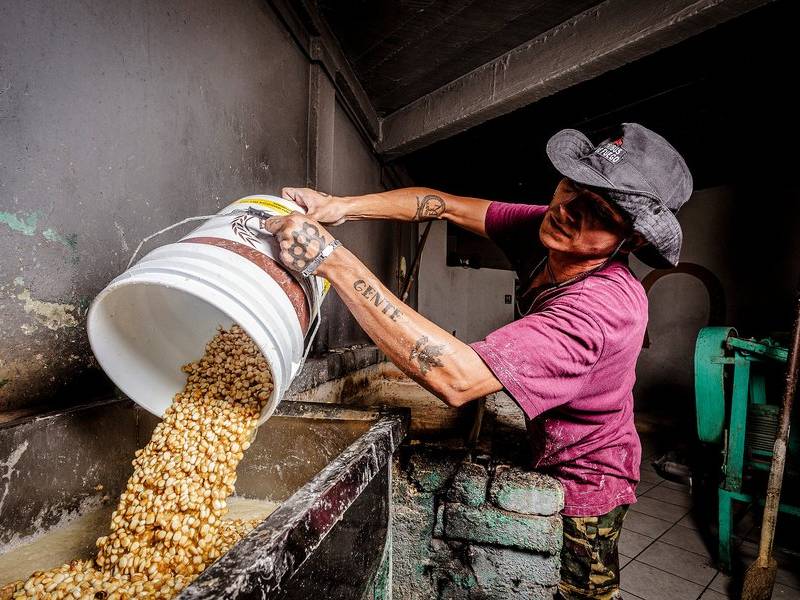 Nixtamalizing the corn.