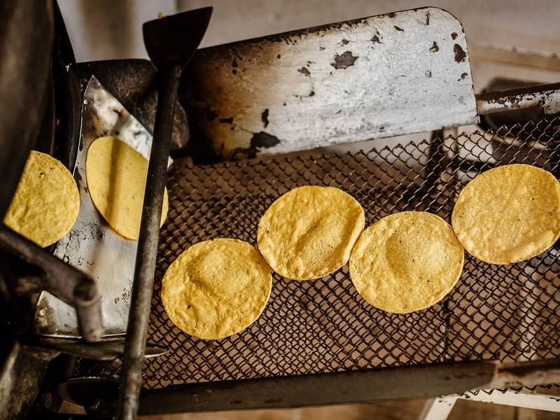 Tortillas conveyor.