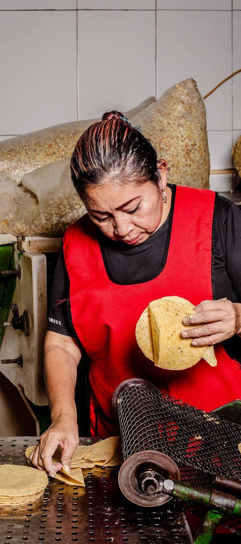Tortilla press.