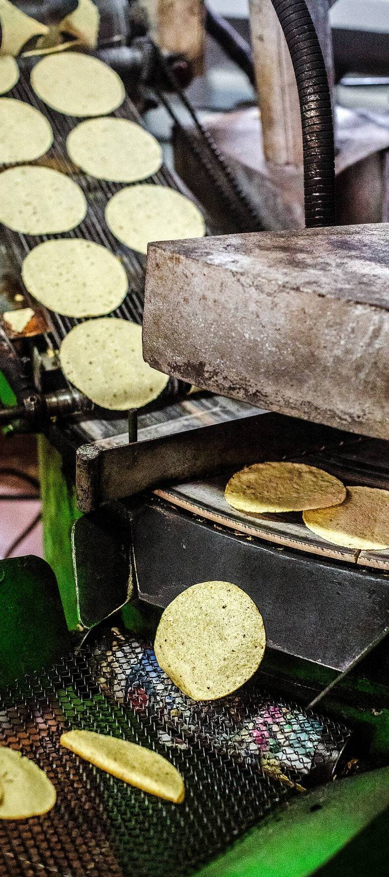 Tortilleria conveyor.
