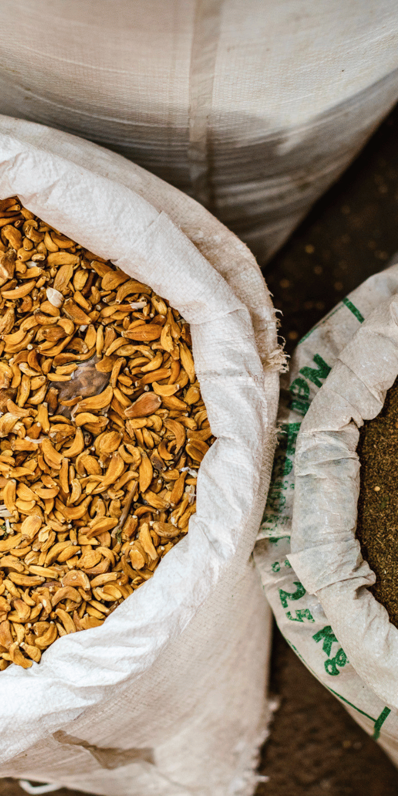 The spice market.