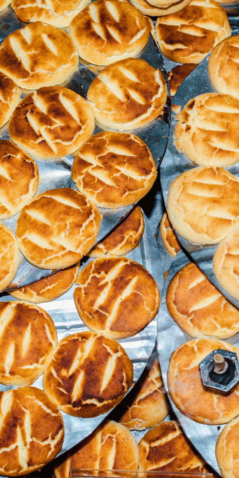 Baked nankhatai.
