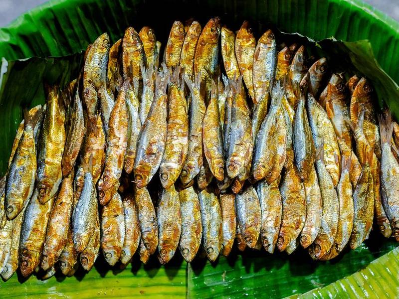 Fried tuyo.