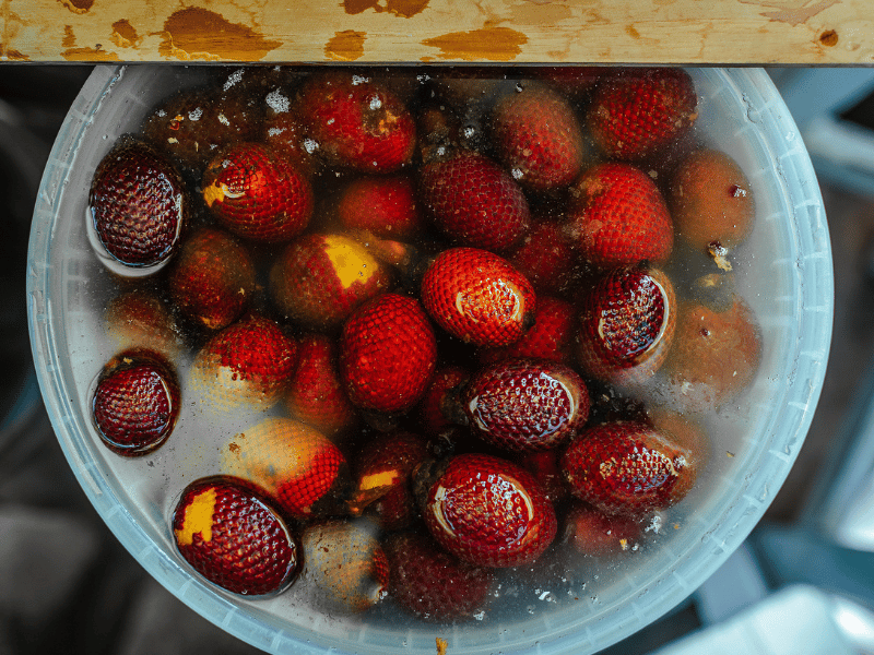 Amazonian fruits.