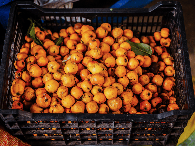 Andean fruits.