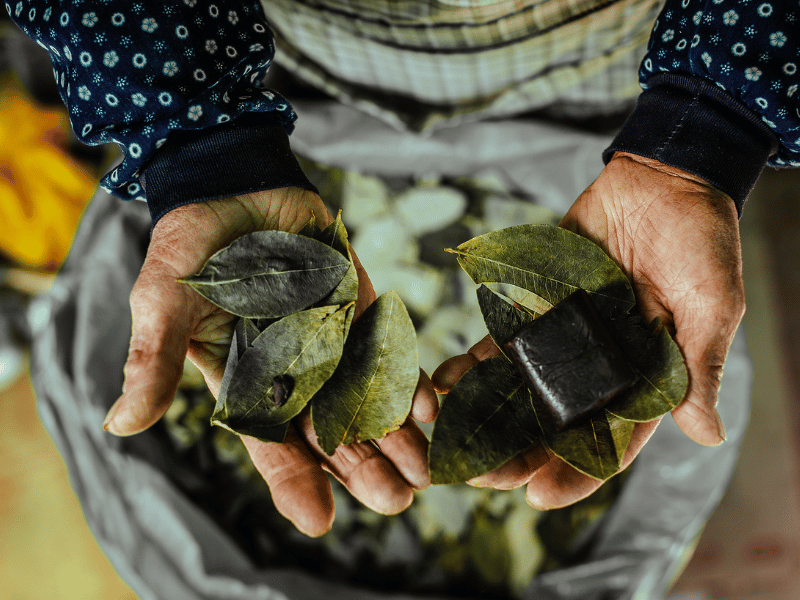 Coca leaves.