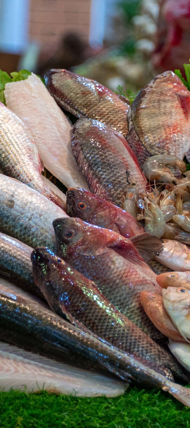 Fresh catch of the day.