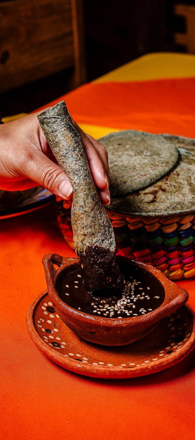 Dark, ingredient-rich mole.