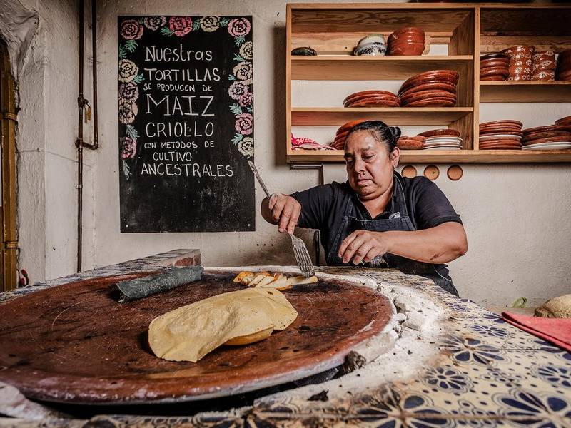 Maíz criollo comal.